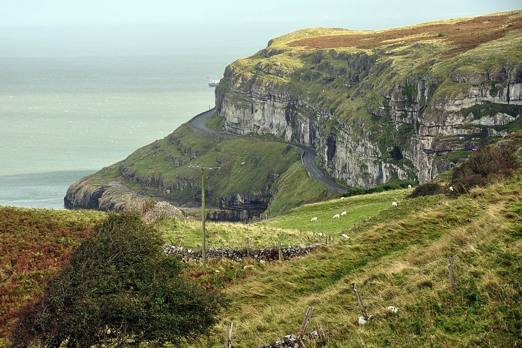 The Explorer Scout fell 80m on the Great Orme, Llandudno. Photo: Nilfanion CC-BY-SA-3.0