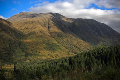 Mr Tedder fell while coming down the tourist track from Ben Nevis's summit plateau