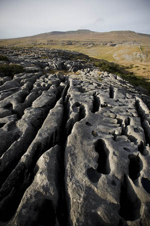 Limestone pavement on Moughton, with Ingleborough in the far distance
