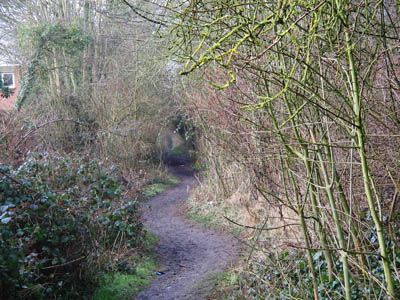 The footpath along the old railway, seen from the Willows Crossing end. Photo: Jim Penfold