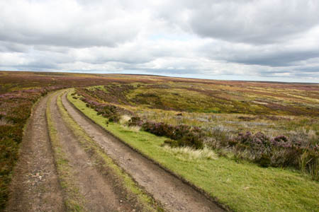 Both the Coast-to-Coast Walk and the Cleveland Way follow the old trackbed of the Rosedale Ironstone Railway