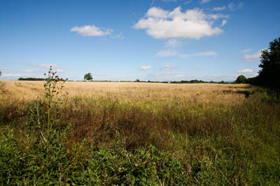 The arable fields of the Vale of Mowbray