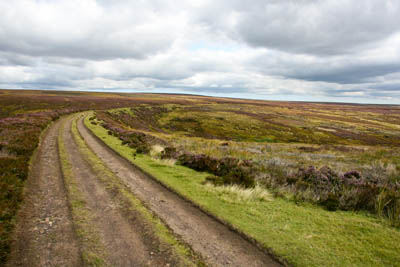 The route follows the old trackbed of the Rosedale Ironstone Railway