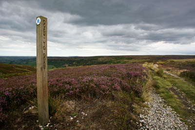 The Coast-to-Coast path on Glaisdale Moor