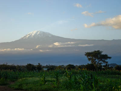 Kilimanjaro. Photo: Marc van der Chijs