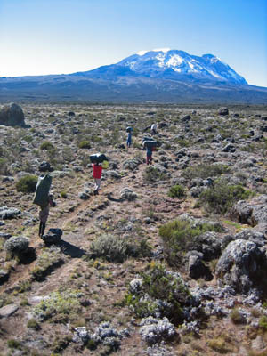 Trekkers to Kilimanjaro face a range of hazards. Photo: telethon