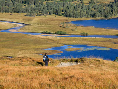 The Mountaineering Council of Scotland works with Ramblers Scotland to safeguard hillwalkers rights north of the border