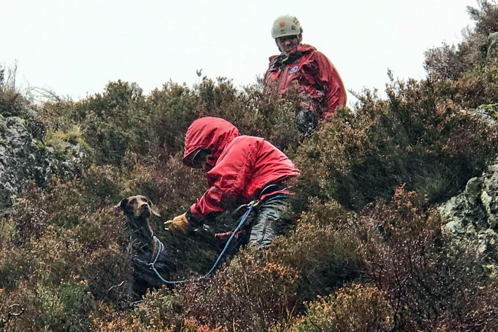 The dog was in a suprisingly good condition, rescuers said. Photo: Aberdyfi SRT