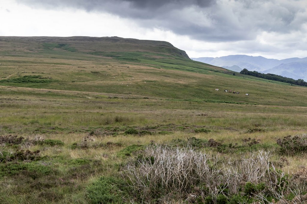 The walkers were brought to safety after getting lost on the fell. Photo: Bob Smith/grough