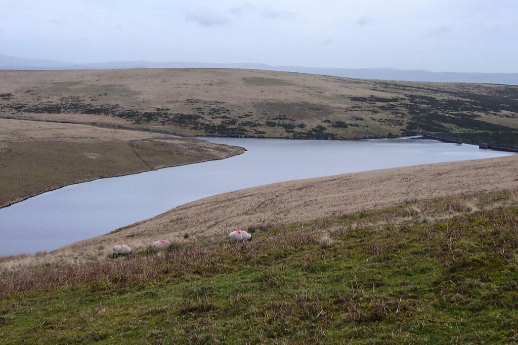 The group got lost near Avon Dam Reservoir on Dartmoor. Photo: Herby CC-BY-SA-4.0 The group got lost near Avon Dam Reservoir on Dartmoor. Photo: Herby CC-BY-SA-4.0