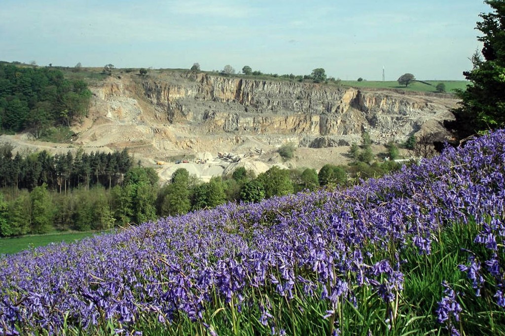 Backdale Quarry, seen in 2008. Photo: Peak District NPA Backdale Quarry, seen in 2008. Photo: Peak District NPA