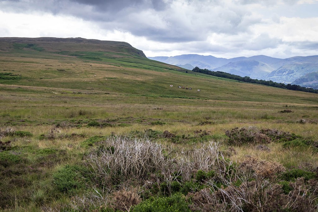 The walker slipped on the bridleway between Howtown and Pooley Bridge. Photo: Bob Smith/grough The walker slipped on the bridleway between Howtown and Pooley Bridge. Photo: Bob Smith/grough