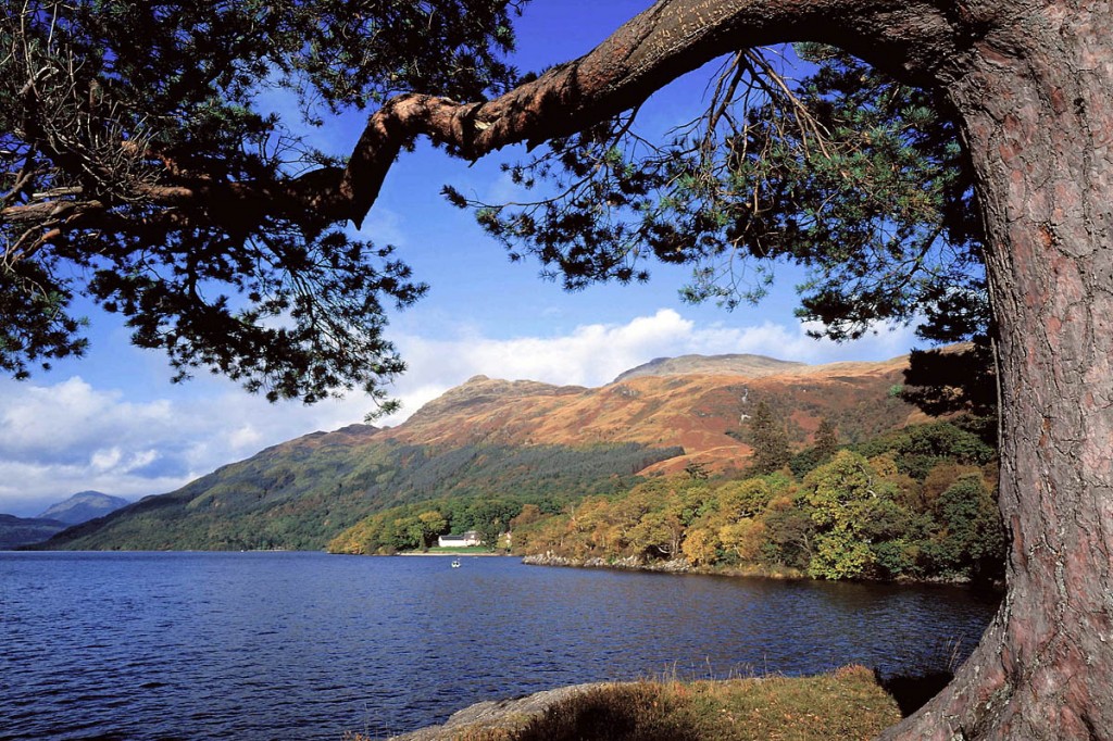 Walkers can join the event to make the ascent of Ben Lomond by night Walkers can join the event to make the ascent of Ben Lomond by night