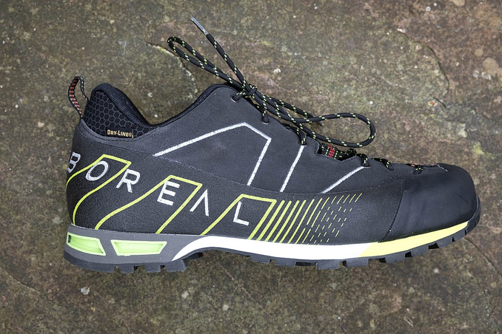 Boreal Drom. Photo: Bob Smith/grough Boreal Drom. Photo: Bob Smith/grough