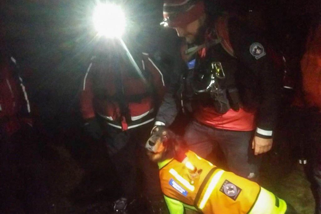 Members of the Search and Rescue Dogs Association joined the operation. Photo: Buxton MRT