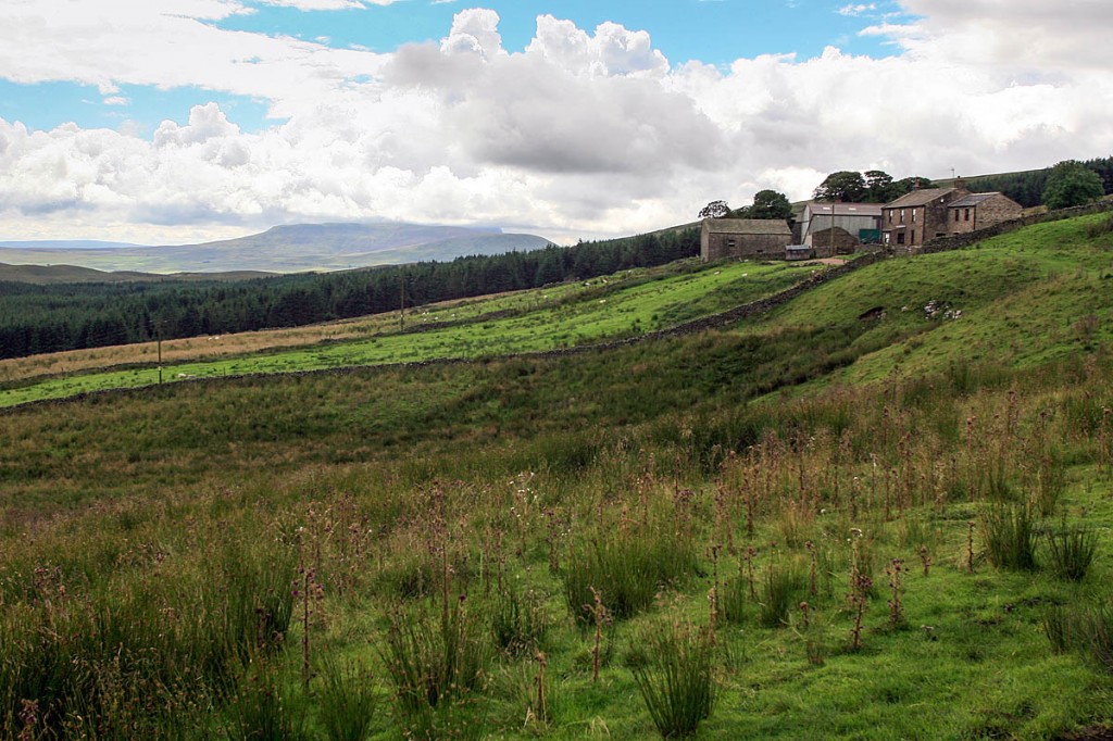 The walker was found near the remote farm at Cam Houses. Photo: Bob Smith/grough
