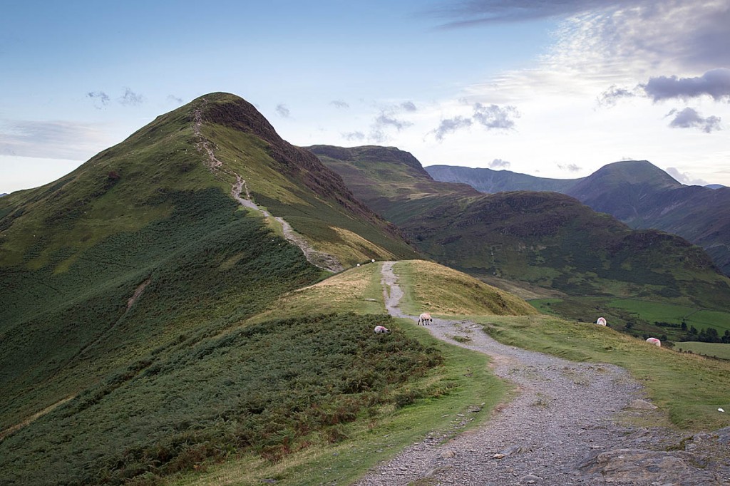 The path up Cat Bells. Photo: Bob Smith/grough The path up Cat Bells. Photo: Bob Smith/grough