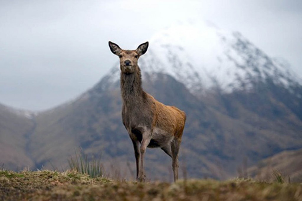 A still from the Channel 5 series A still from the Channel 5 series