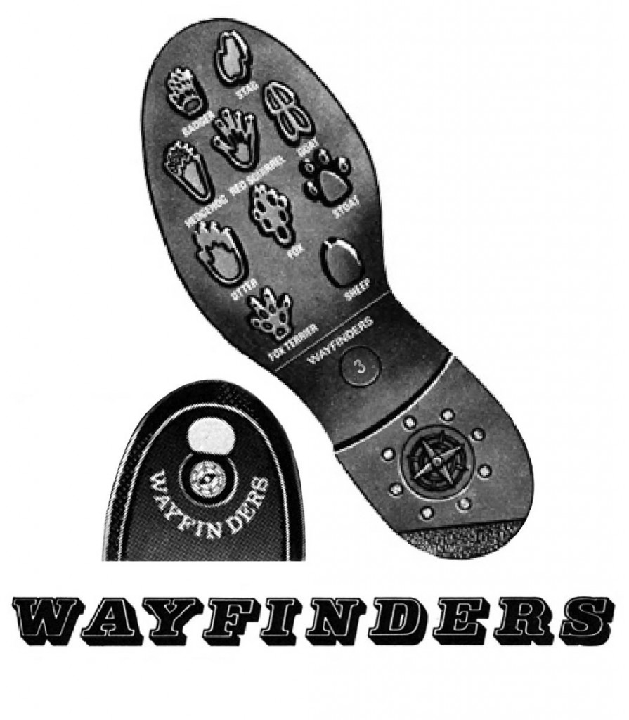 The idea is an update of the original 1960s Wayfarers concept