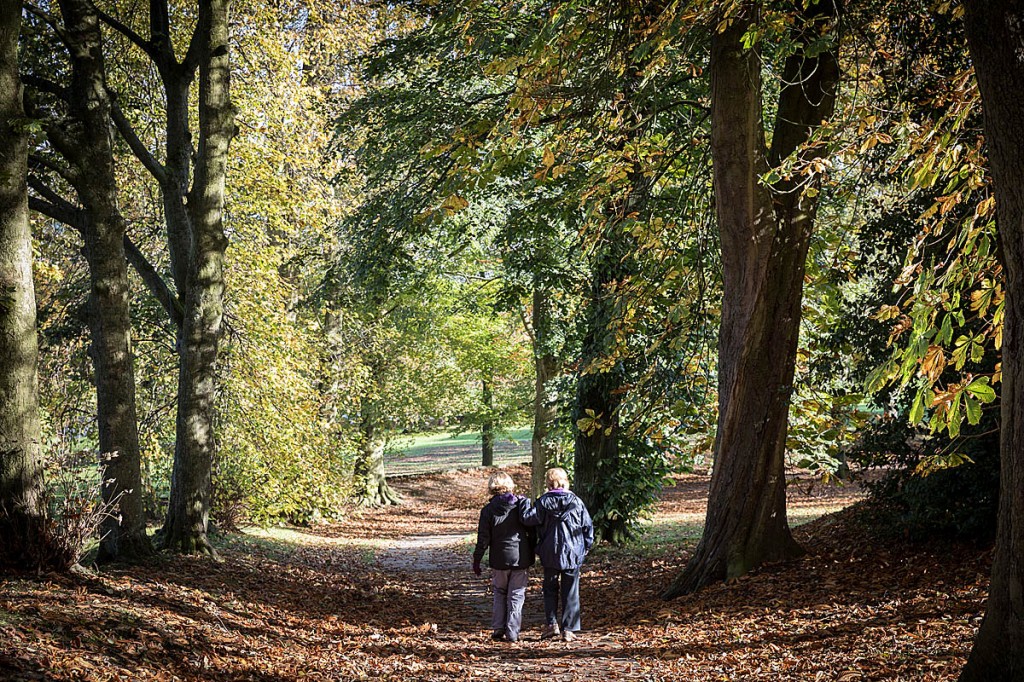 Walking in nature is beneficial to people's wellbeing. Photo: Bob Smith/grough Walking in nature is beneficial to people's wellbeing. Photo: Bob Smith/grough