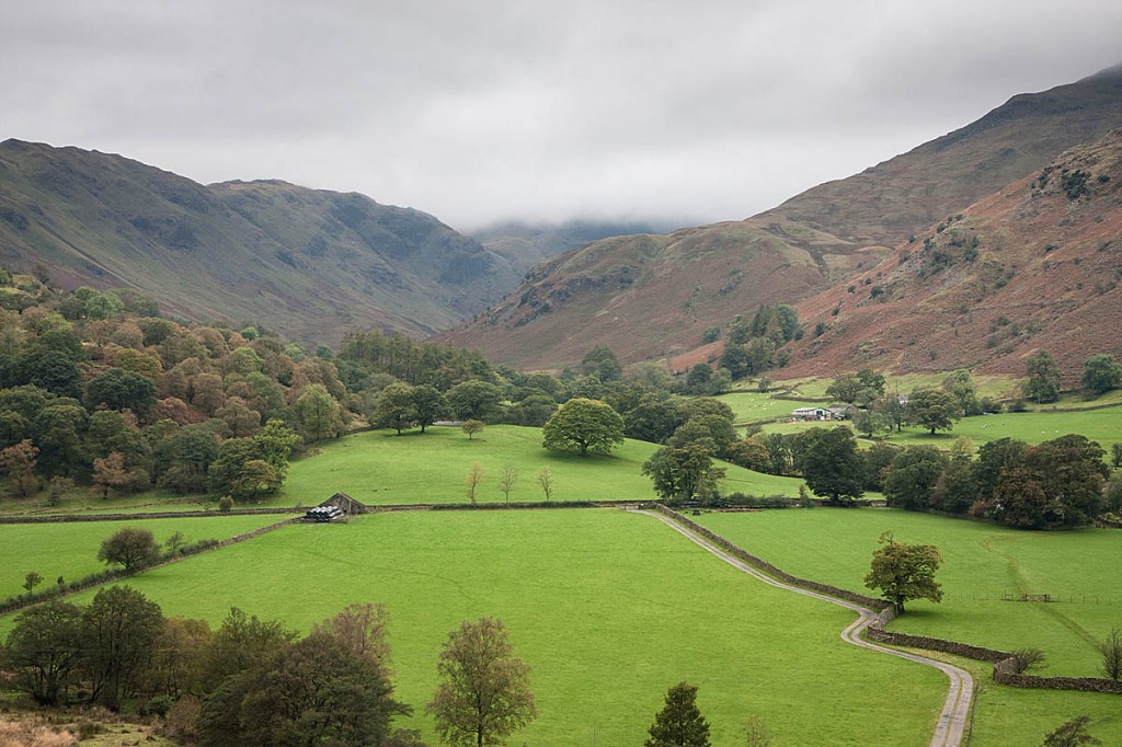 The pair became cragfast in Deepdale. Photo: Bob Smith/grough