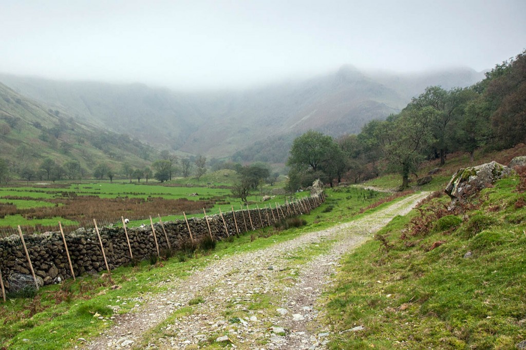 The injured man was stretchered down into Dovedale The injured man was stretchered down into Dovedale