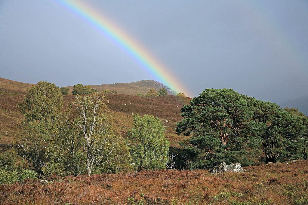 Dundreggan, site of the proposed centre Dundreggan, site of the proposed centre