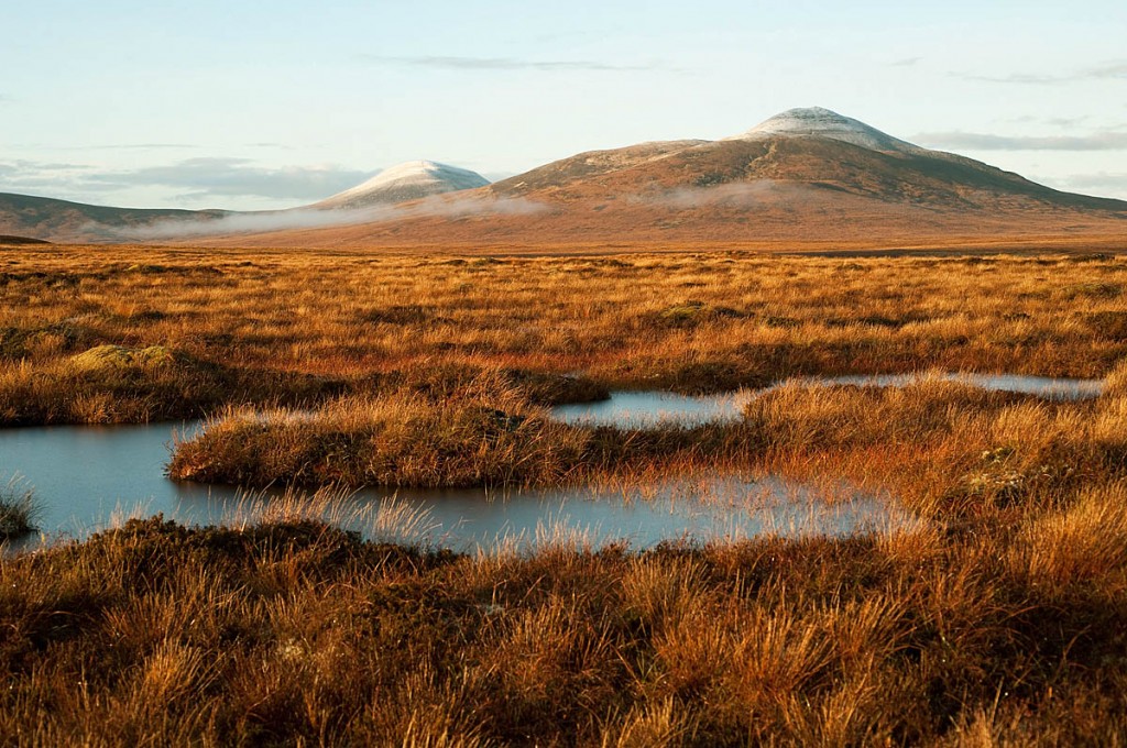 The EOCA cash will help restore peatland near Forsinard. Photo: Eleanor Bentall/RSPB Images The EOCA cash will help restore peatland near Forsinard. Photo: Eleanor Bentall/RSPB Images