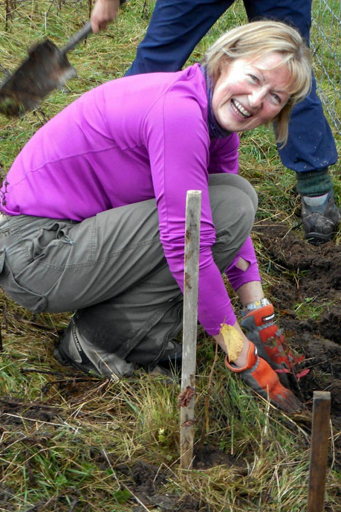 Camaraderie and cakes are on offer for volunteer tree planters. Photo: FLD