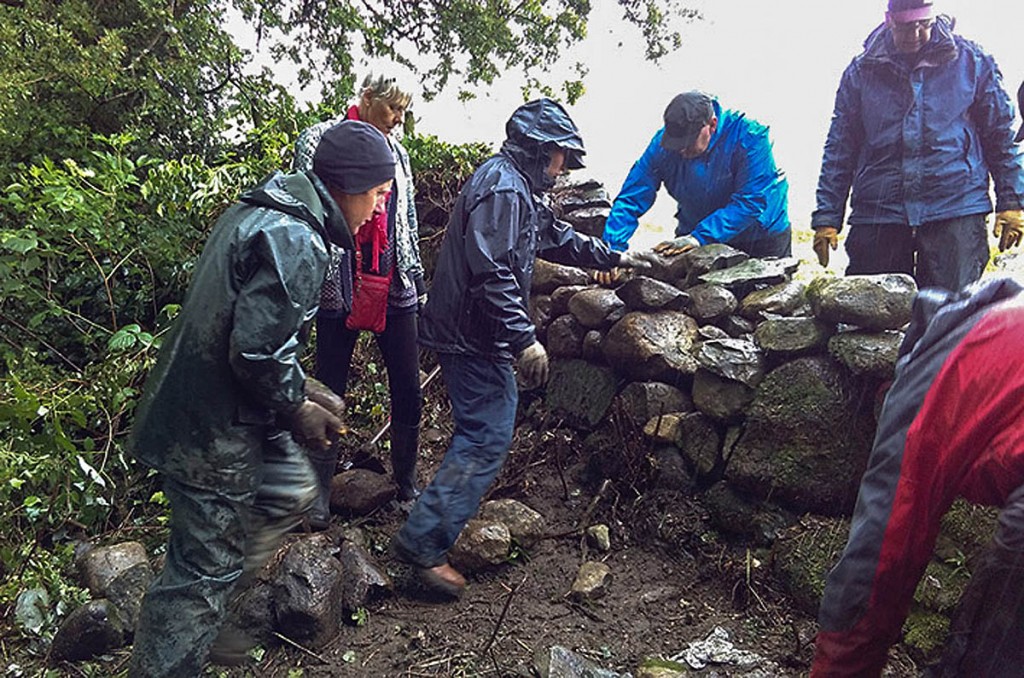 Volunteer wallers work during the downpour Volunteer wallers work during the downpour