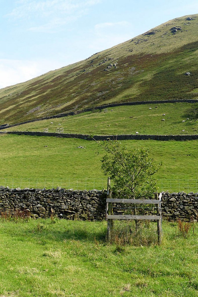 The Friends will use the money for their Sanctuary project The Friends will use the money for their Sanctuary project