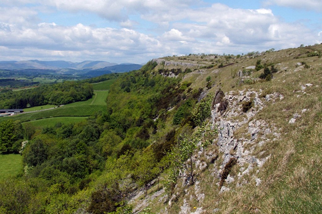 The event will take place on Scout Scar. Photo: Friends of the Lake District The event will take place on Scout Scar. Photo: Friends of the Lake District