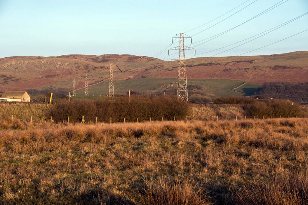 Existing pylons in the Whicham Valley near Black Combe. Photo: Friends of the Lake District Existing pylons in the Whicham Valley near Black Combe. Photo: Friends of the Lake District