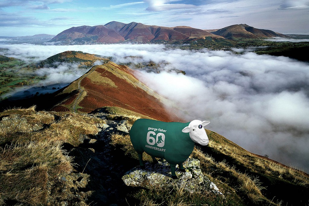 A mock-up of how one of the new woolly webcams will look A mock-up of how one of the new woolly webcams will look