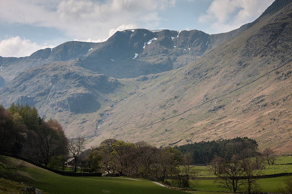 The pair were walked down to Grisdale from Nethermost Pike. Photo: Bob Smith/grough