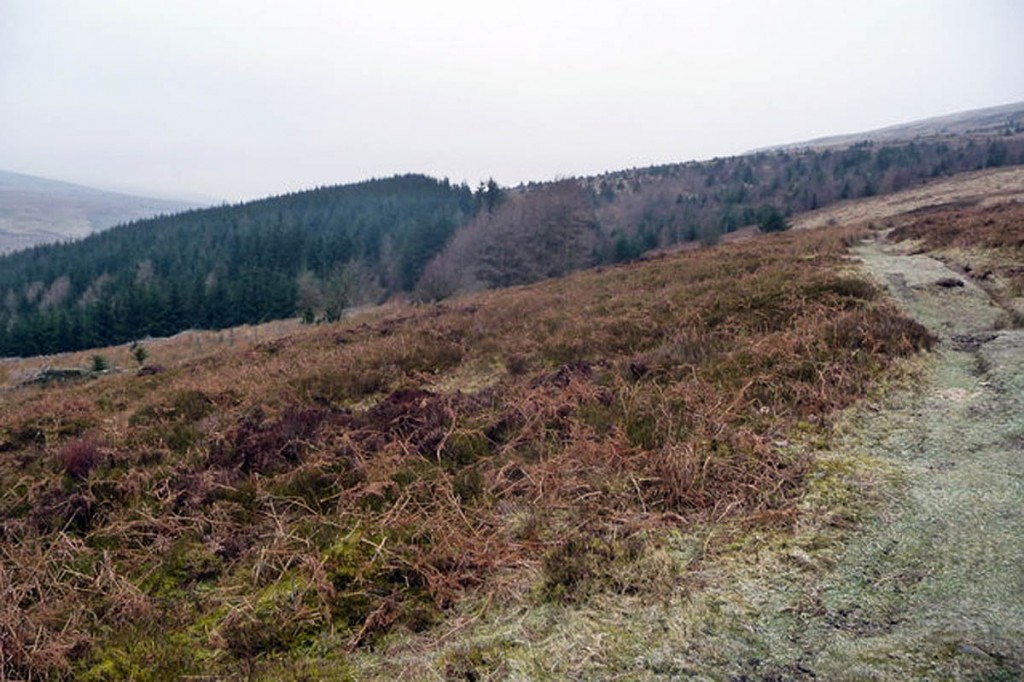 The couple got lost while walking in the Grwyne Fawr area. Photo: Jeremy Bolwell CC-BY-SA-2.0 The couple got lost while walking in the Grwyne Fawr area. Photo: Jeremy Bolwell CC-BY-SA-2.0