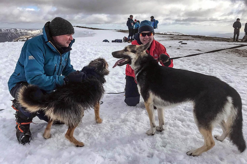 Cash and Lilah safe back on Helvellyn's summit. Photo: Scott Pilling