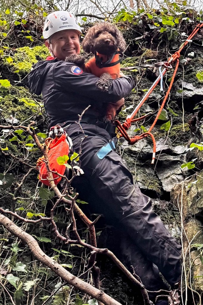 Rescuers retreived the dog from the ledge. Photo: Keswick MRT Rescuers retreived the dog from the ledge. Photo: Keswick MRT
