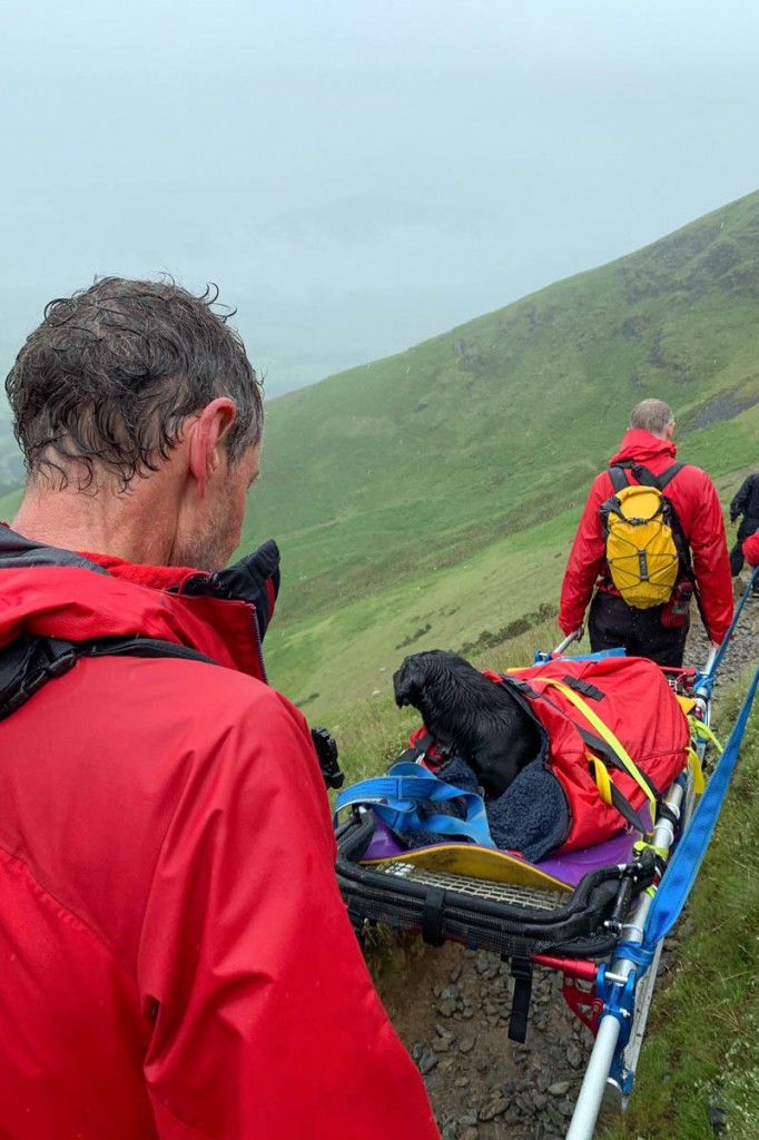 Rescuers carry the black labrador from the fell. Photo: Keswick MRT Rescuers carry the black labrador from the fell. Photo: Keswick MRT