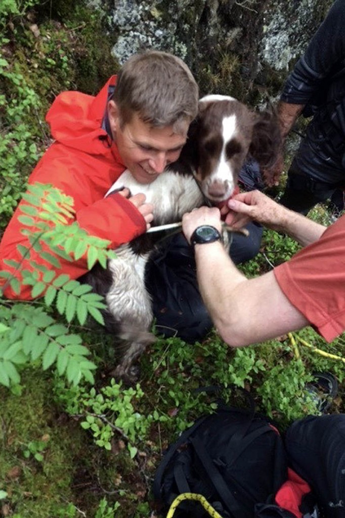 Rocky was found uninjured. Photo: Keswick MRT