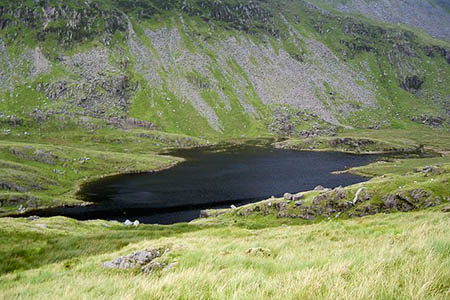 The group was found near Llyn Cwm-y-Foel. Photo: Ian Greig CC-BY-SA-2.0