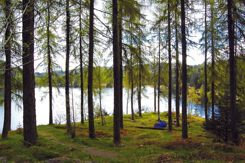 One of the areas covered by the permit scheme on Forest Drive in the Three Lochs Area. Photo: LLTNPA