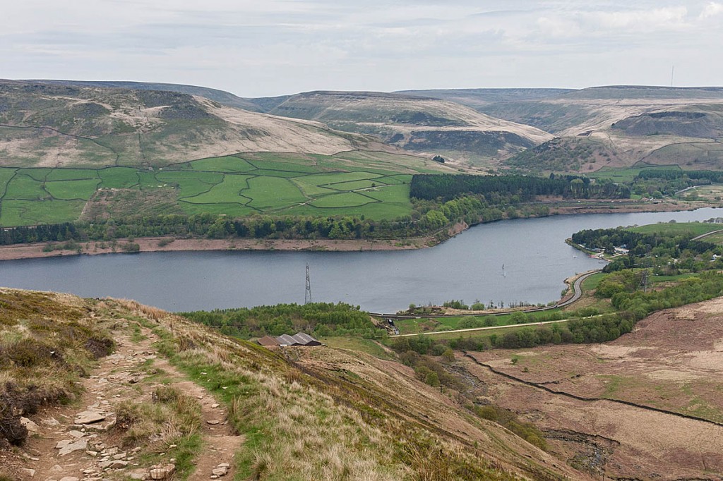 The wildfire has destroyed moorland above Crowden. Photo: Bob Smith/grough The wildfire has destroyed moorland above Crowden. Photo: Bob Smith/grough