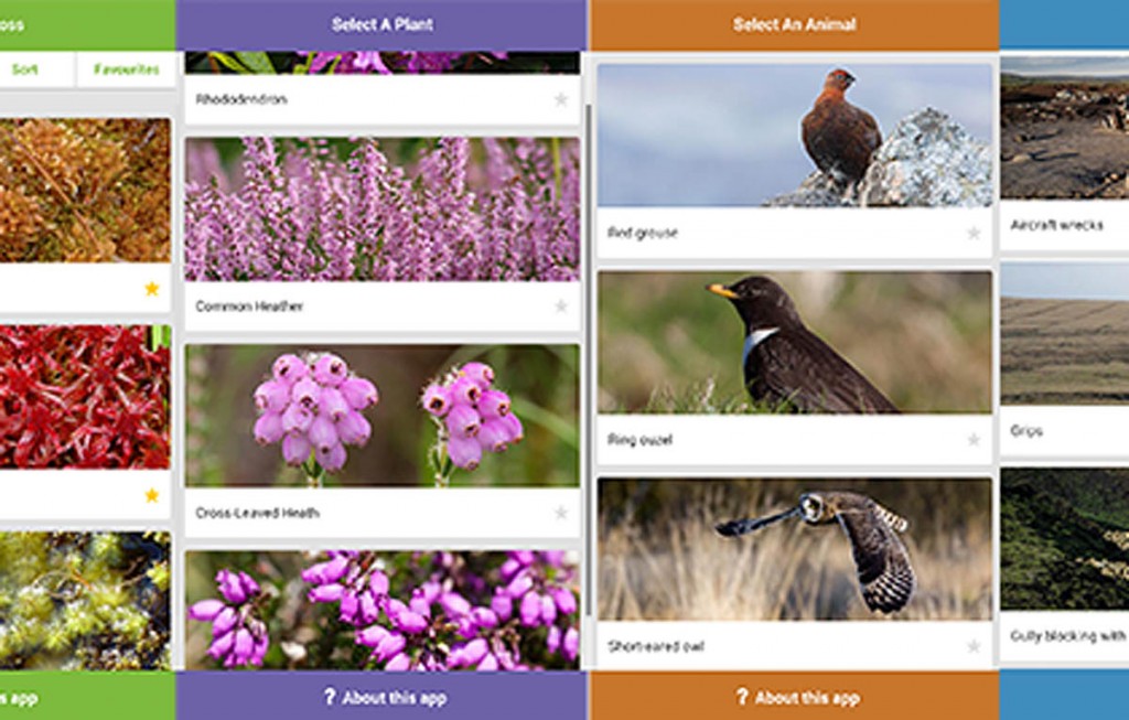 The apps detail flora and fauna of the moors The apps detail flora and fauna of the moors