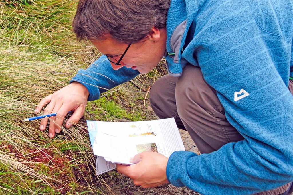 Outdoor fans are being urged to go sphagnum spotting Outdoor fans are being urged to go sphagnum spotting