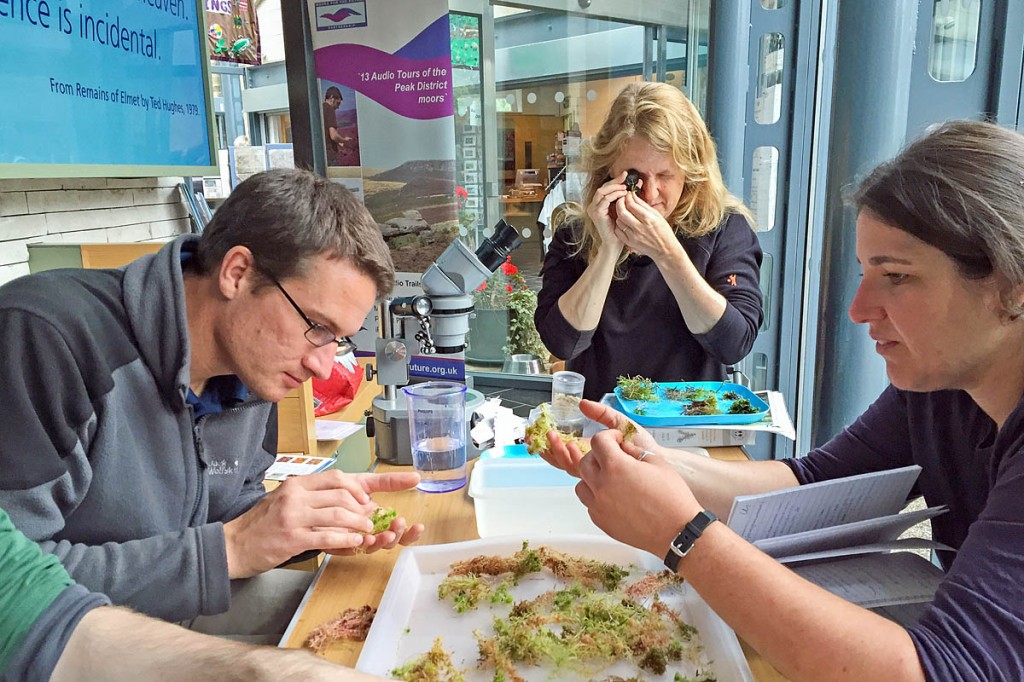 Training is available to help identify the moss Training is available to help identify the moss