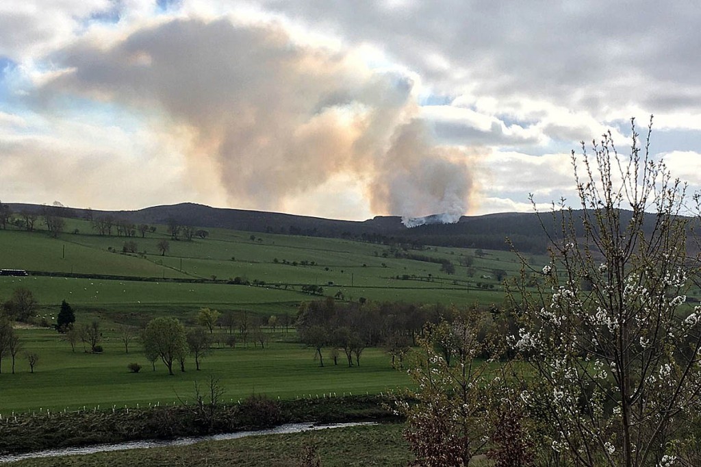 The wildfires on Simonside. Photo: NNPMRT The wildfires on Simonside. Photo: NNPMRT