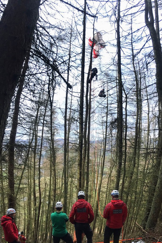 The rescue scene in woods near Llangollen. Photo: Newsar