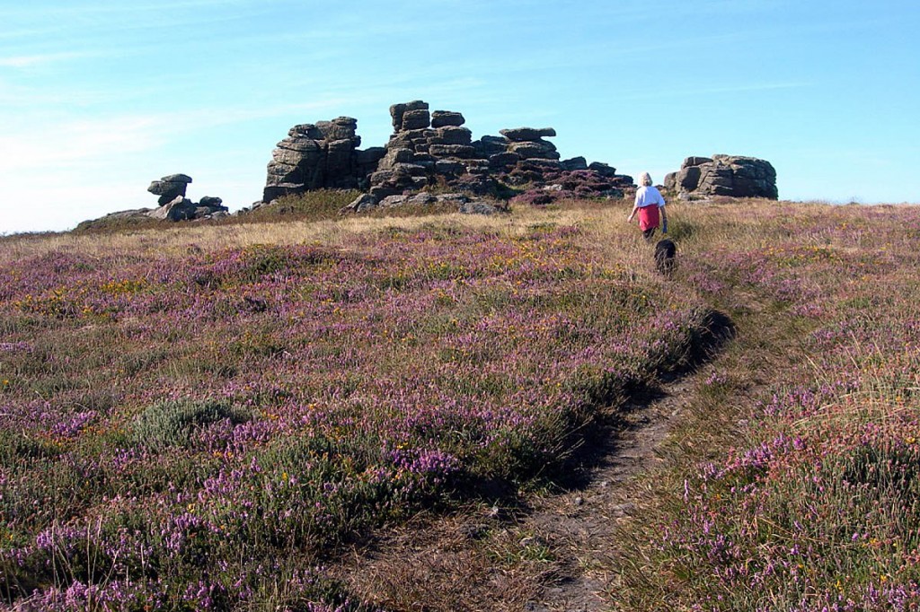 Carn Kenidjack in Cornwall, a reclaimed common. Photo: OSS