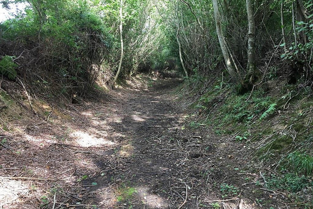 Colebrook Lane, the unsurfaced road the society said was at risk. Photo: OSS